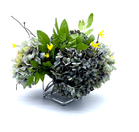 Costal Bloom