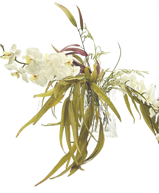 Whispering Orchid